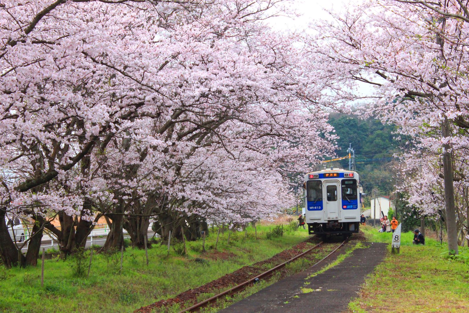 ▲松浦鉄道