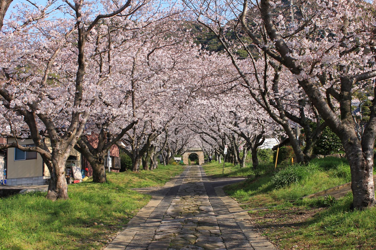 ▲圓應寺